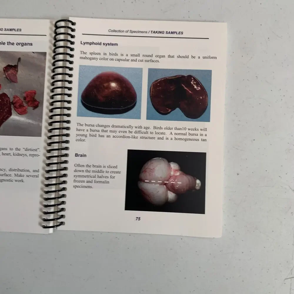 A Field Manual For Collection Of Speciments To Enhance Diagnosis Of Animal Disea